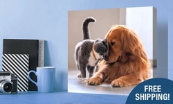 Gallery-Wrapped Canvas Prints from Simple Canvas Prints (Up to 86% Off) Free Shipping