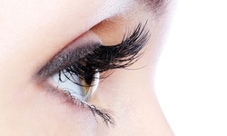 90- to 120-Piece Eyelash Extensions at Pro Skincare and Day Spa (Up to 69% Off)