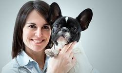 Vaccination Package or Health Exam for Dog or Cat at Queens Animal Health (Up to 52% Off). 4 Options Available.