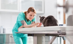 Pet Vet Services at Mineola Animal Hospital (Up to 81% Off). Three Options Available.