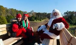 Up to 35% Off on Christmas Market (Retail) at Forever Forest