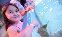 Family Pack, Birthday Party Package, or Entry at SeaQuest Woodbridge (Up to 42% Off). Four Options Available.