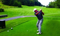 Two or Three Private Golf Lessons at Fallon Golf School (Up to 65% Off)