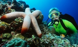 $19.50 for Discover Scuba or Snorkeling Lesson at Try Scuba ($99 Value) 
