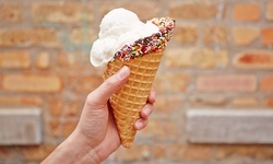 One Ice Cream Roll, 12-Ounce Frozen Yogurt, or Three Scoops of Ice Cream at Rimsky's Ice Cream (Up to 48% Off)