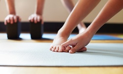 Up to 48% Off on Yoga Class at Luna Sol Yoga