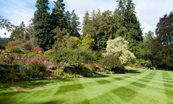 Up to 57% Off on Lawn Mowing Service at Edge Pro Landscaping Inc