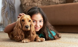 Three or Five-Bedroom Basic Carpet Cleaning with Deodorizer from One Stop Clean (Up to 68% Off)