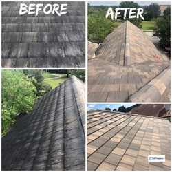 Up to 41% Off on Roof Moss Removal at Polk Washers