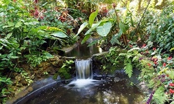 One Day at Sunken Gardens for Two, or One Annual Family Membership (Up to 55% Off)