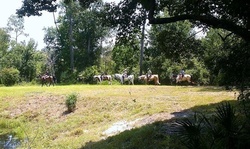 Horseback Trail Ride with Optional Riding Lesson for Two or Four at Equestrian Quest Stables (Up to 58% Off)