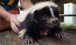 Admission for Two Children or One, Two, or Four Adults at Calusa Nature Center & Planetarium (Up to 37% Off)