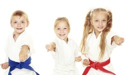 $30.38 for One Month of Unlimited Karate Classes at AmeriKick Andorra (76% Off)  