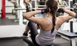 Two-Week or One-Month Gym Membership with 30-Minute Training Session at Ellis Athletic Center (Up to 72% Off)