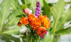 $23 for $40 Toward Shrubs, Trees, and Gardening Supplies"  at Kirshner Landscapes & Nurseries 
