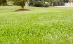 Organic Fertilization Service for Up to 10,000 or 20,000 Sq. Ft. from Lawn Medic of Southern NJ, LLC (50% Off)