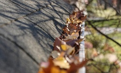 Up to 28% Off at Utopia Gutter Solutions