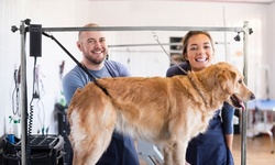 One Full Grooming Service or Premium Bath for One Pet at Holiday House Pet Resort (Up to 63% Off)