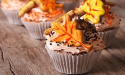 Online Cupcake-Decorating Course with Optional Chocolatier Diploma from SMART Majority (99% Off) 