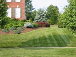 $69 Off $115 Worth of Lawn / Garden Care