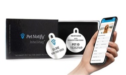 $15 for Annual Plan Intellitag Smart Pet Tag from Pet Notify ($19.95 Value)