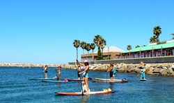 Standup-Paddleboard Rental for One or Two at Olympus Board Shop (Up to 49% Off)