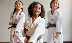 10 Classes or 1 Month Unlimited of Martial Arts at Riverview Martial Arts & Fitness (Up to 55% Off)