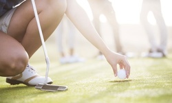 One or Two Hours of Golf Lessons at Houston Golf Lesson (Up to 31% Off)