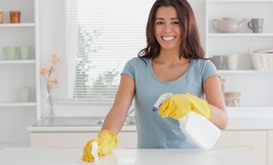 $80 for $150 Worth of Services — Greenville Cleaning Services