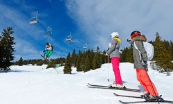Ski or Snowboard Tune-Up or Rental at Sports LTD (Up to 51% Off) 