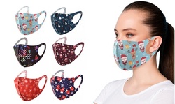 Holiday Themed Washable and Reusable Face Masks (6-Pack)