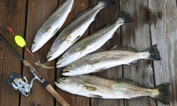 Fishing Packages for Two at 61st Street Fishing Pier (Up to 25% Off)