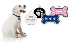 Two Custom Engraved ID Tags, with One-Year, Five-Year, or a Lifetime Pet-Protection Plans from SmartTag