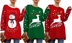 Haute Edition Christmas Tunic Length Crew Neck Pullover Thick Knit Sweater