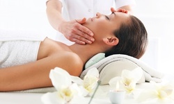 One 60-Minute Holistic Facial or Back Facial at The Voice of Clay (Up to 34% Off)