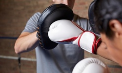 $66.50 for Kickboxing, Cross-training, Brazilian Jiu Jitsu, or Submission Classes at ACE MMA ($130 Value)