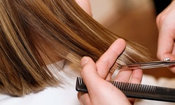 Cut, Conditioning, and Blow-Dry with Optional Partial Highlights at Styles of Elegance Salon (Up to 64% Off)