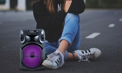 Technical Pro Portable Wireless Bluetooth Rechargeable Party Speaker