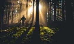 One, Three, or Five Group Mediumship Readings with Terrie Christine (Up to 68% Off)