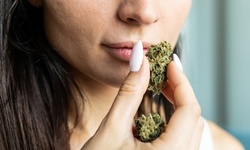 $14 for $30 Toward Products from CBD Health Club