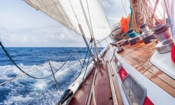 Up to 17% Off on Electronic - Marine (Retail) at ADAMILY Co