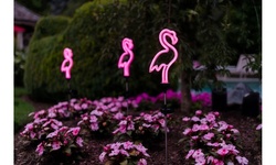 Solar Neon Pink LED Flamingo Stake Lights (1-,2-,3-Pack)