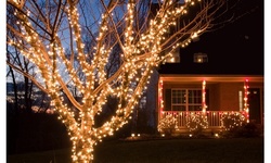 Weatherproof 100-LED Solar String Lights, 100 Ft. (1 or 2 Pack)