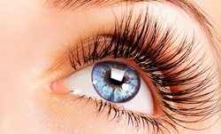 One or Two Sets of Eyelash Extensions at Complete Image (72% Off)