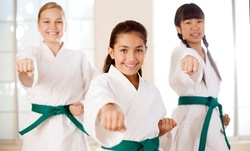 $96 for $175 Worth of Services at Black Tiger Martial Arts