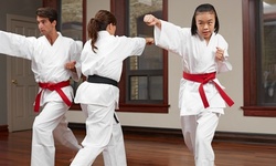 One or Three Months of Unlimited Martial Arts Classes at Double Dragon Martial Arts (Up to 47% Off)