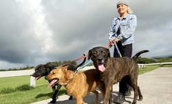 $191 for $425 Worth of Pet Care — S T A C
