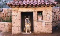 $116 for $246 Worth of Services — Paw Pleasure