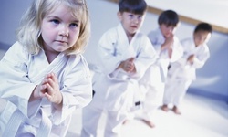 $63 for $125 Worth of Products — Moska's Tang Soo Do Karate