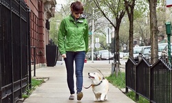 Three or Five 30-Minute Dog Walks from U Need a Dog Walker (Up to 53% Off)
